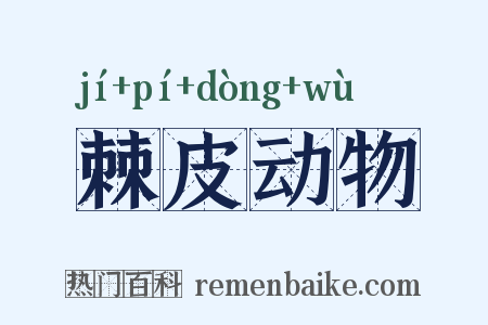 棘皮动物是什么意思的图片